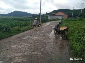 国产三级乡下,国产三级电影的乡村画卷